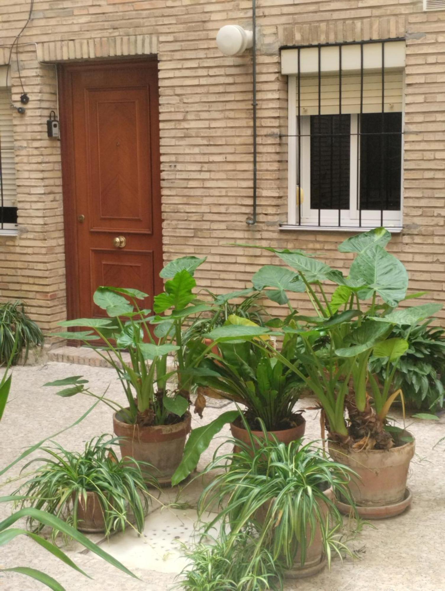 セビリアLa Casa De Pepaアパートメント エクステリア 写真