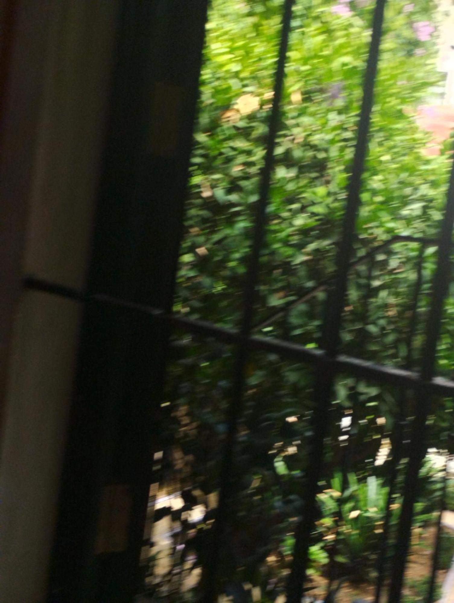 セビリアLa Casa De Pepaアパートメント エクステリア 写真